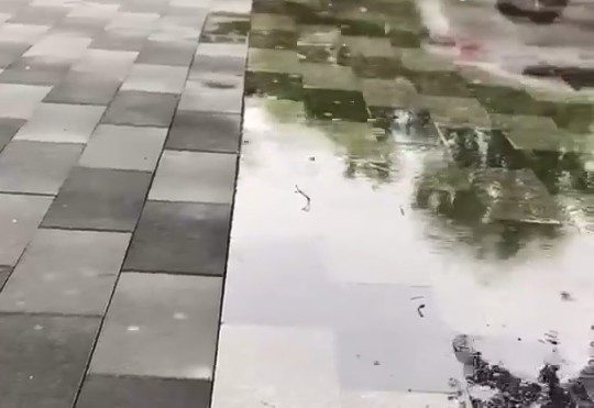 雨天实地对比